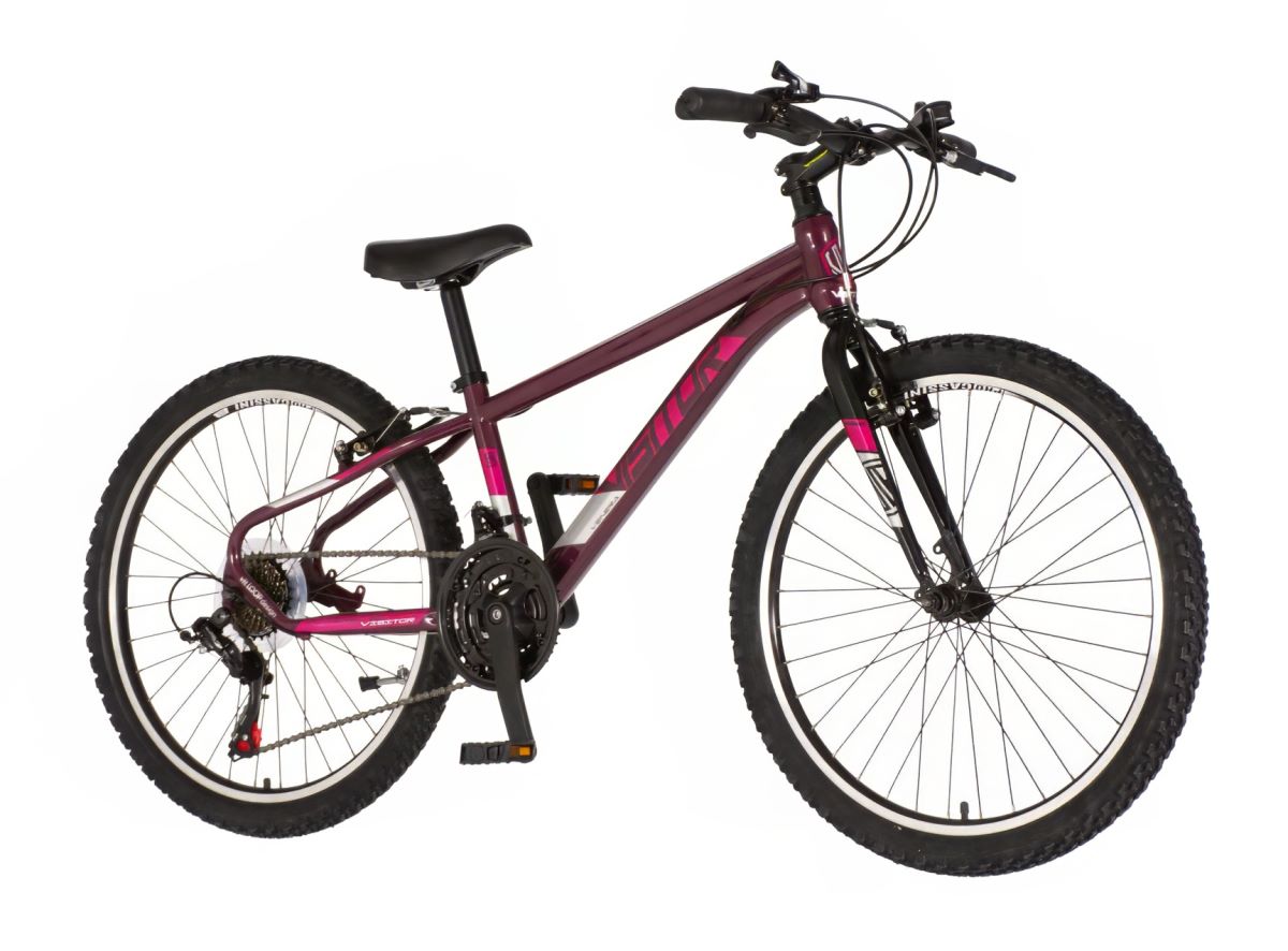 VISITOR RADIANCE 24 BORDO